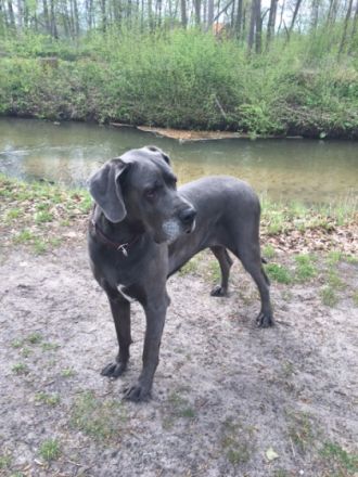 Von der Kupferhütte