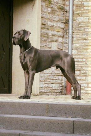 Von der Kupferhütte