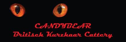 Cattery von Candybear