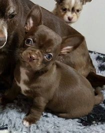 von Marin zu Grevesmühlen