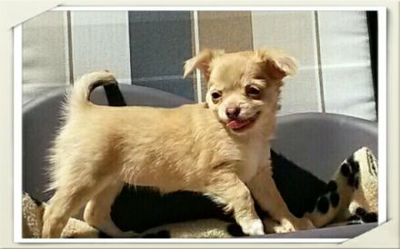 von Marin zu Grevesmühlen