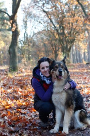 Physiotherapie4-Pfoten