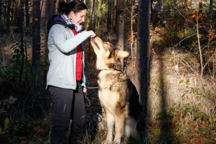 Physiotherapie4-Pfoten