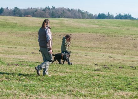 Teamwork hund mensch