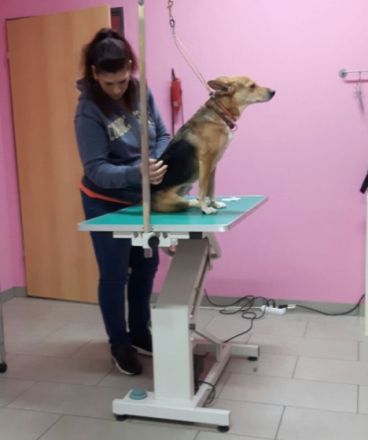 Schmerzambulanz Berlin