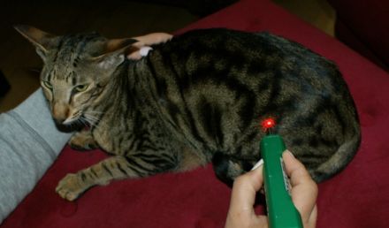 Schmerzambulanz Berlin