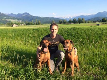 Hundeschule doginstinct