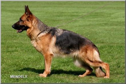 vom Schaumbergerland