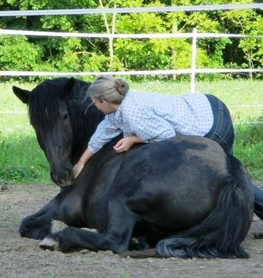 Mobile Naturheilpraxis für Pferde Vicky Hollerbaum