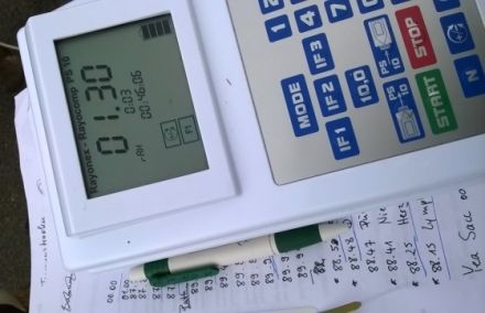 Mobile Naturheilpraxis für Pferde Vicky Hollerbaum