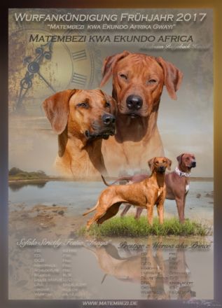 Matembezi kwa Ekundo Afrika