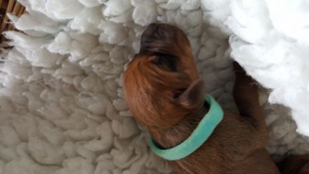 Matembezi kwa Ekundo Afrika