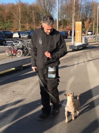 DogPirates Problemhundetherapie