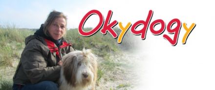 Okydogy Hundeschule & Verhaltensberatung