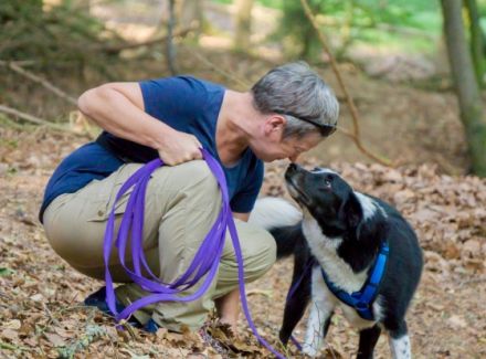 Hundeschule Inga Hauser
