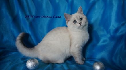 von Dianas Luna