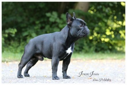 Jocker-John from Polokokta