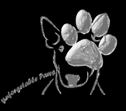 UNFORGETABLE PAWS