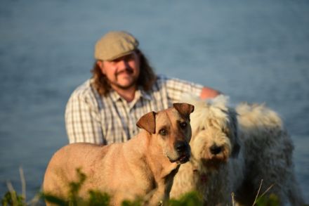 NARA DOGS Hundeverhaltensberatung