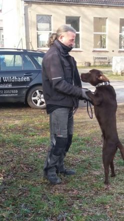 Dogs-Kuschelbude Ode Schreiber