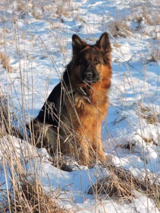 BERNY VON DER MATTIG