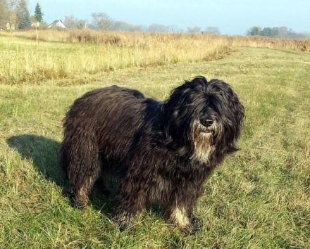 Jess vom Braunsbergblick
