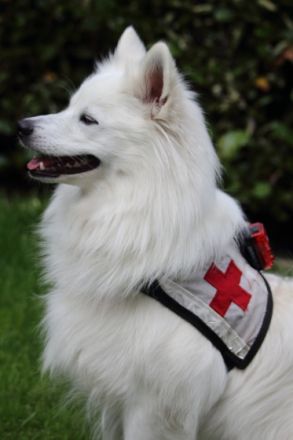 von den Eißeler Dorfspitzen