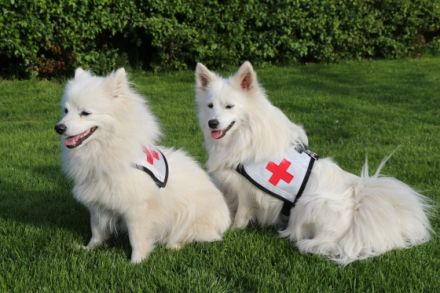 von den Eißeler Dorfspitzen