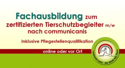 Ausbildung zum Tierschutzbegleiter | online | Start am 05.06.24