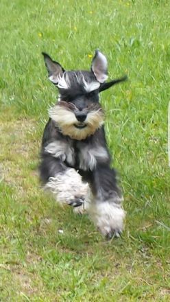 Xido-Xana von Marten