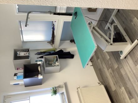 Tierphysiotherapie &  Osteopathiepraxis und Hundefriseur