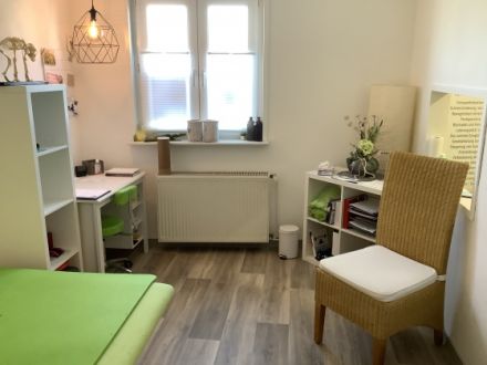 Tierphysiotherapie &  Osteopathiepraxis und Hundefriseur