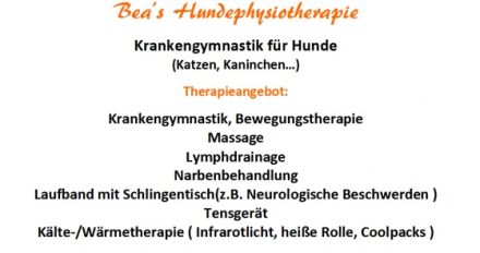 Bea' Hundephysiopraxis