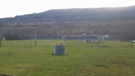 Hundeschule Heinz Blum