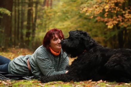Pension für fröhliche Schnauzen