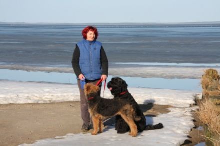 Aufnahme und Neuvermittlung von Hunden, die ihr Zuhause verlassen müssen