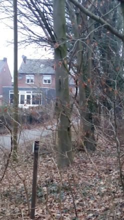 Hondenpension Miss Doggy