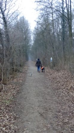 Hondenpension Miss Doggy