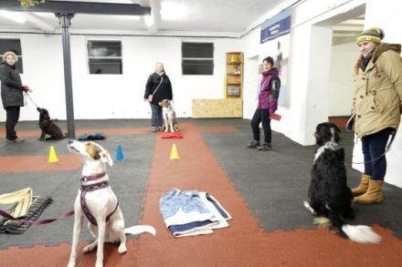 Hundezentrum Hallensen