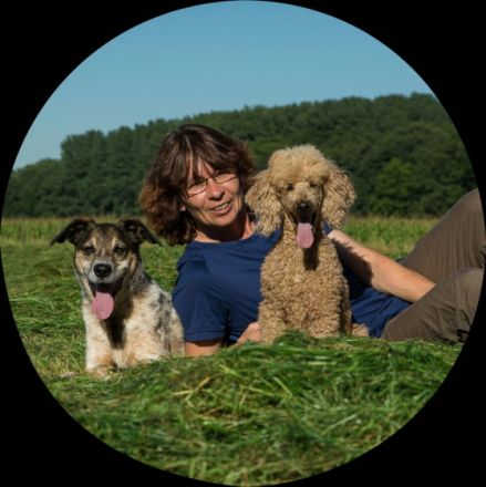 Hund im Fokus Niederrhein