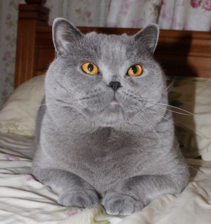 Freiherr Fritz von Schustersmühle