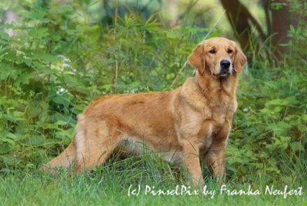 vom Leipzig Seenland