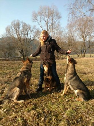 Hundeakademie-Wolfserbe