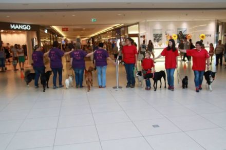 Verein für Hundesport  Lentinger Jura Flizzer e.V.