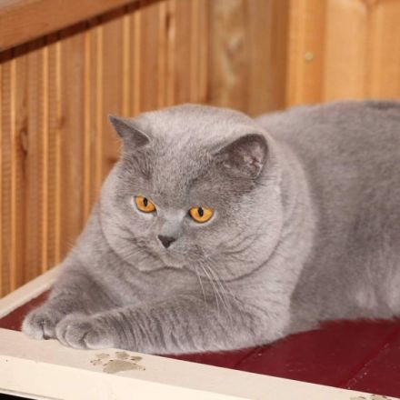 Paul von Obervieland