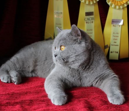 Paul von Obervieland