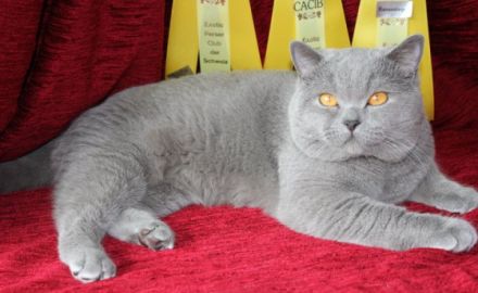 Paul von Obervieland