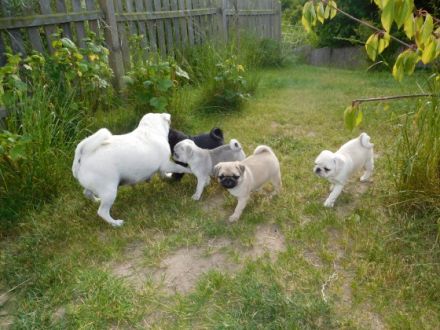 Von der Rügenschlucht