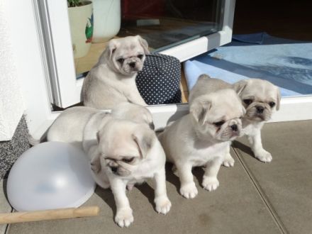 Von der Rügenschlucht