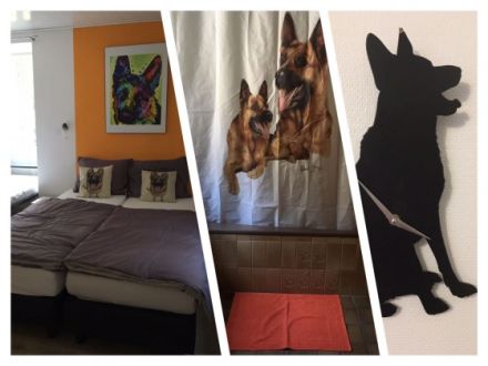 Hundezentrum MuppenTrupp